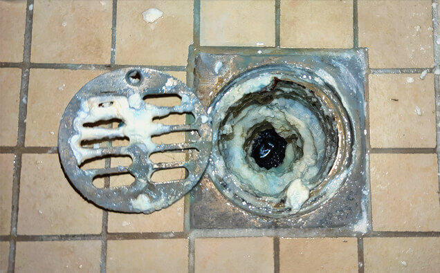 https://blockeddrainsinnaloo.com.au/uploads/2025/07/blocked-shower-drains-33151.jpg