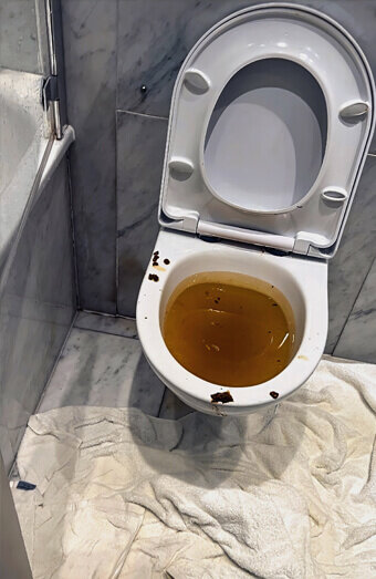 https://blockeddrainsinnaloo.com.au/uploads/2025/07/blocked-toilet-27793.jpg