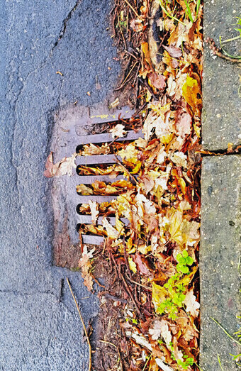 https://blockeddrainsinnaloo.com.au/uploads/2025/07/stormwater-drains-48051.jpg